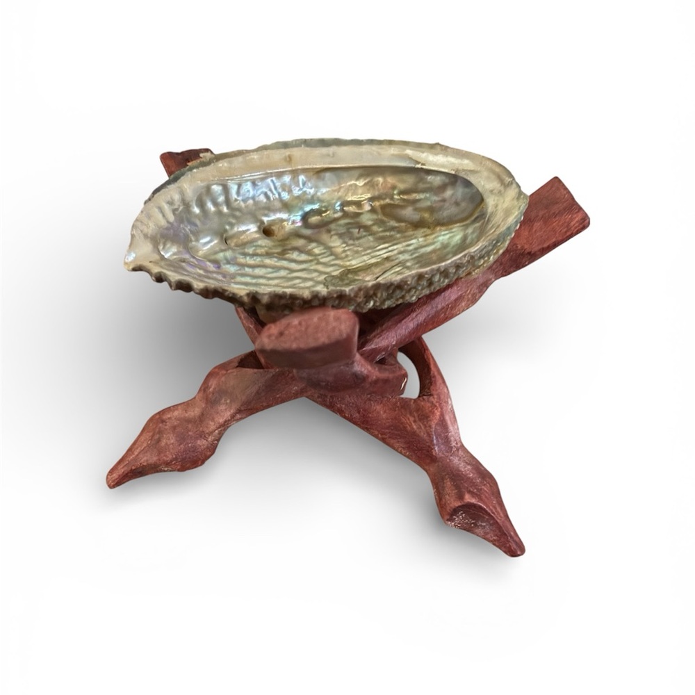 Decorative Abalone Shell with Wooden Stand